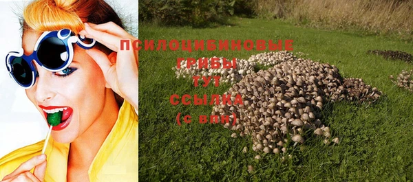 индика Михайловск