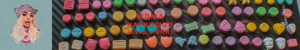 ГАЛЛЮЦИНОГЕННЫЕ ГРИБЫ Михайлов