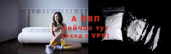 ГАЛЛЮЦИНОГЕННЫЕ ГРИБЫ Михайлов