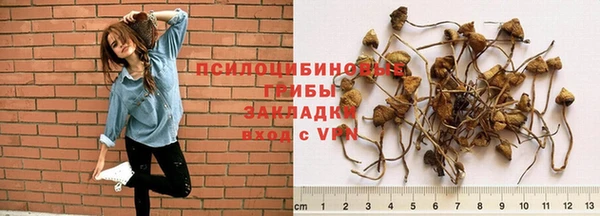 соль курить ск Алексеевка
