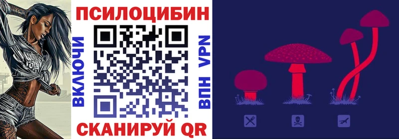 Галлюциногенные грибы Psilocybine cubensis  купить   Берёзовка 